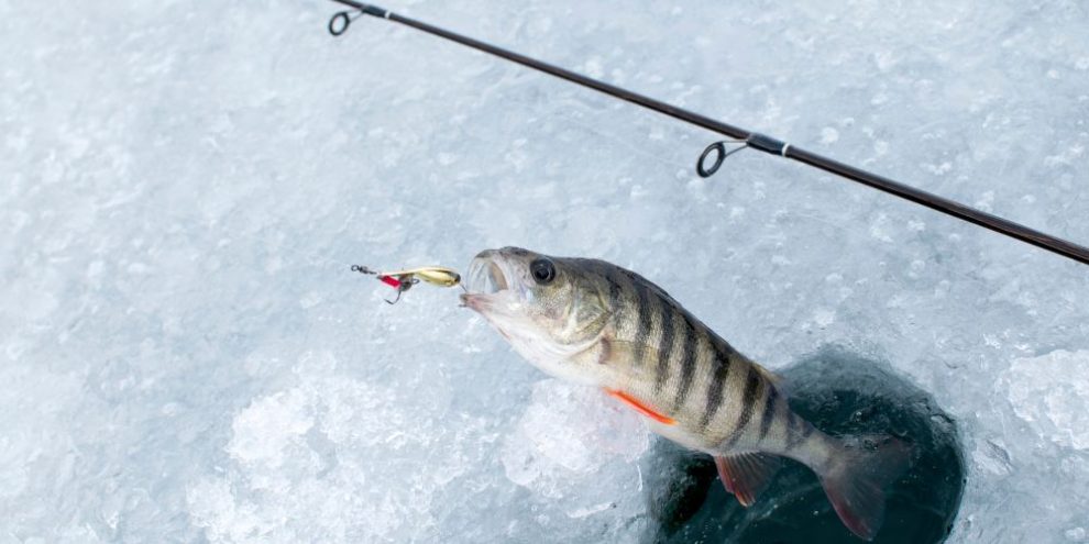 Ice fishing