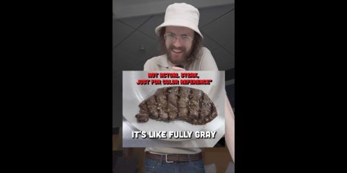 liam nelson grey steak VIA TikTok
