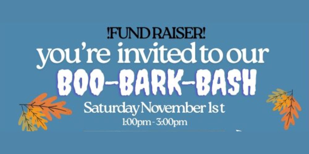 Boo-Bark-Bash