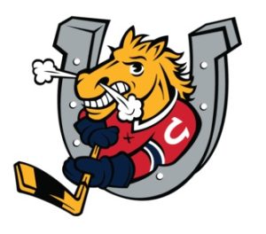 The Barrie Colts