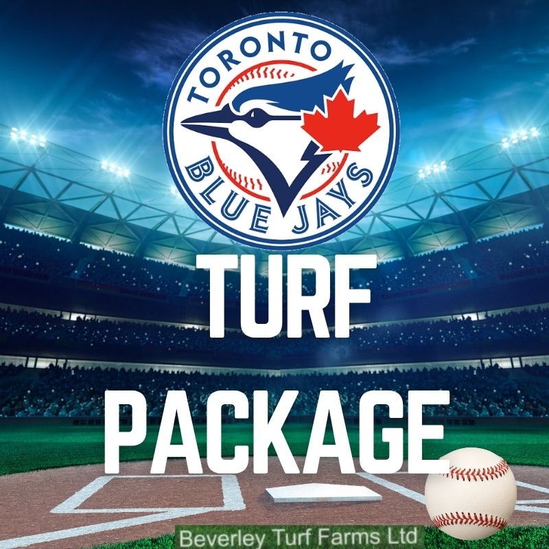 The Jays Turf Package