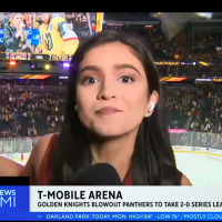 NHL Reporter Manages To Stiff Arm Unruly Fan And Continue To Do Her Job