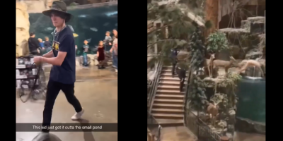 One Guy Steals A Fish and Another Dives Into the Tank at 2